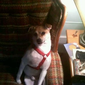 Meet your Posher, Denise